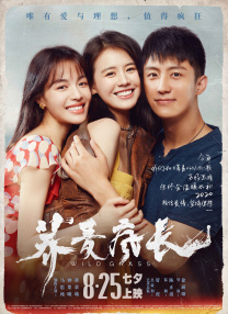 妻子的第二次出轨